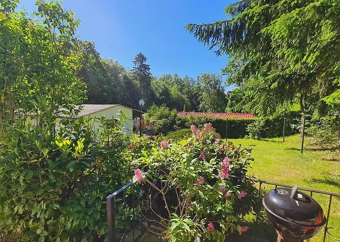 Pet Friendly In Harzgerode Ot D Casa vacanze