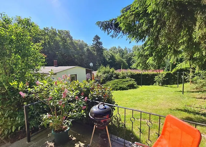 Pet Friendly In Harzgerode Ot D Casa vacanze *